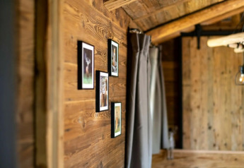 Intérieur d'une tiny house en Allemagne, murs boisés, quatre photos d’animaux encadrées et fenêtre avec rideau.