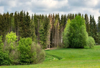 Paysage verdoyant avec arbres et prairie sous un ciel nuageux près du Tiny House en Allemagne.