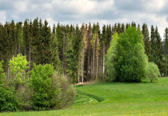 Paesaggio verde con alberi e prato sotto cielo nuvoloso vicino al Tiny House in Germania.
