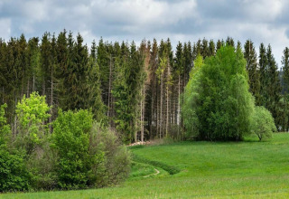Paisaje verde con árboles y pradera bajo cielo nublado cerca de Tiny House en Alemania.