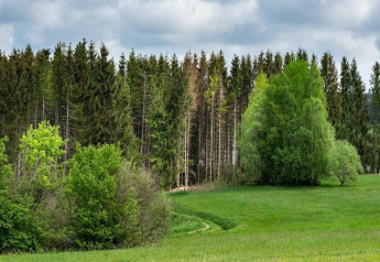 Paysage verdoyant avec arbres et prairie sous un ciel nuageux près du Tiny House en Allemagne.