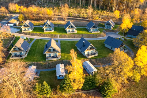 Vue aérienne de petites maisons modernes entourées d’arbres d’automne dans une région pittoresque d’Allemagne.