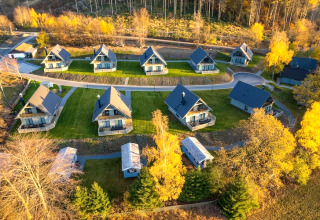 Vue aérienne de petites maisons modernes entourées d’arbres d’automne dans une région pittoresque d’Allemagne.