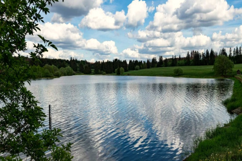Vue paisible sur un lac reflétant les nuages, près de prairies verdoyantes et d'une Tiny House en Allemagne.