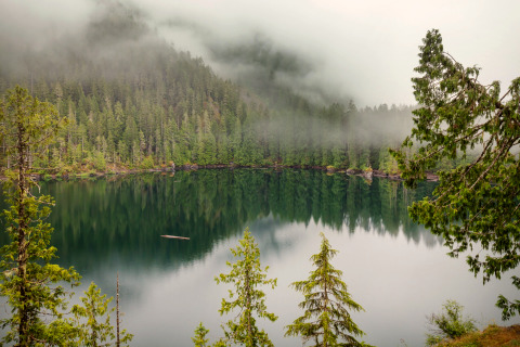 Brume flottant sur un lac paisible entouré de forêt, vue depuis Tiny House en Allemagne au matin.