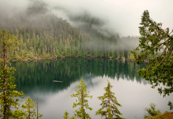 Nebbia sopra un lago tranquillo circondato da foreste, vista dal Tiny House in Germania al mattino.