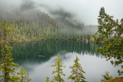 Niebla sobre un lago tranquilo rodeado de bosque, vista desde Tiny House en Alemania al amanecer.