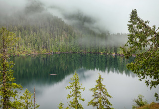 Niebla sobre un lago tranquilo rodeado de bosque, vista desde Tiny House en Alemania al amanecer.