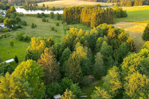 Vue aérienne d'une forêt et de prairies verdoyantes avec un lac près d'une tiny house en Allemagne.