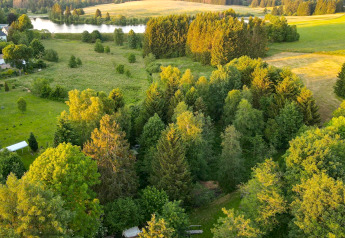 Vista aerea di boschi e prati verdi con lago vicino a una tiny house in Germania al tramonto.