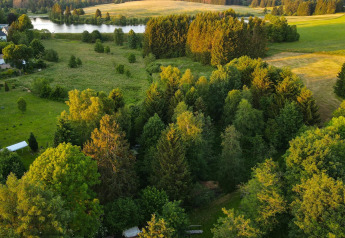 Vue aérienne d'une forêt et de prairies verdoyantes avec un lac près d'une tiny house en Allemagne.