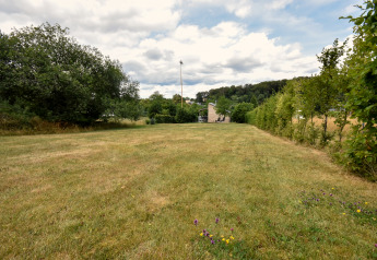 Ruim grasveld bij Holiday home «Terra 2 Persons» in Duitsland, omgeven door bomen en natuur.
