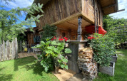Rustic Almhütte chalet with wooden exterior, flowers, stacked firewood, and lush garden on a sunny day.