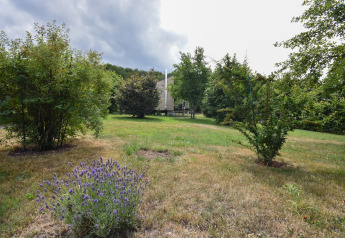 Jardin vert avec arbustes et petits arbres devant la maison mobile Holiday home Terra 2 Persons en Allemagne.