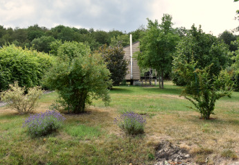 Jardin avec arbustes et arbres devant la maison mobile Holiday home Terra 2 Persons, entourée de verdure en Allemagne.