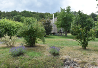 Garden with bushes and trees in front of Holiday home Terra 2 Persons mobile home, surrounded by greenery in Germany.