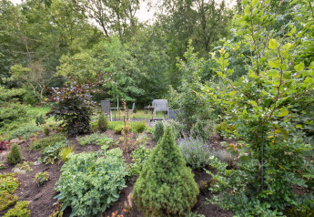 Groene tuin met verschillende planten en bomen, zitgedeelte bij Holiday home Terra 2 Persons, Duitsland.
