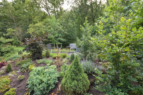 Giardino verde con piante e alberi, area relax all’aperto a Holiday home Terra 2 Persons, Germania.