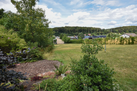 Vista su un grande giardino erboso con alberi, arbusti, case di villaggio e foresta nella campagna tedesca.