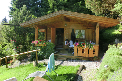 Rustic Steingaden chalet with a wooden porch, colorful flowers, and lush greenery in a serene forest setting.