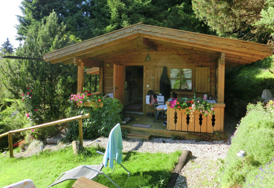 Rustic Steingaden chalet with a wooden porch, colorful flowers, and lush greenery in a serene forest setting.