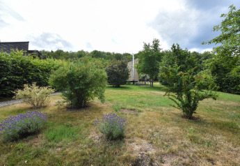 Photo of a garden with bushes and trees near the Holiday home «Terra 2 Persons» mobile home in Germany.
