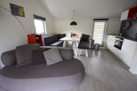 Moderne woonkamer en keuken in vakantiehuis 'Magma 2 Persons' in Duitsland met hoekzitbank.