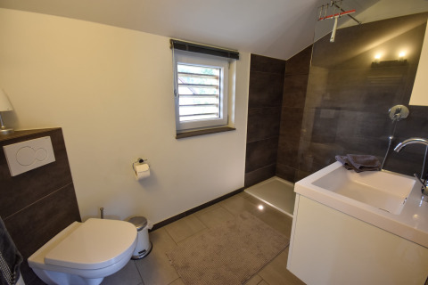 Moderne badeværelse med bruser, toilet og håndvask i ferieboligen Magma 2 Persons, Tyskland.