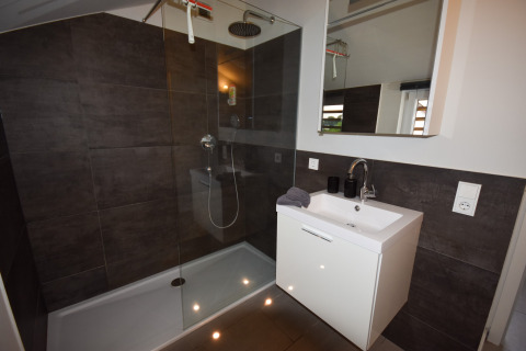 Bagno moderno con doccia a filo pavimento, lavabo bianco e specchio in Holiday home Magma 2 Persone, Germania.