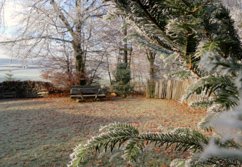 Ramo coperto di brina e giardino invernale allo chalet Almhütte in Germania, con panca e recinzione di legno.
