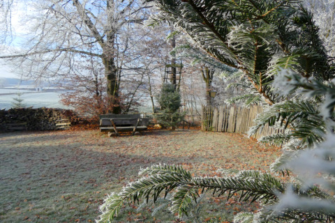 Met rijp bedekte tak en wintertuin bij chalet Almhütte in Duitsland, met bankje en houten schutting zichtbaar.