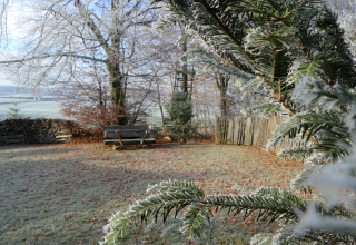 Met rijp bedekte tak en wintertuin bij chalet Almhütte in Duitsland, met bankje en houten schutting zichtbaar.