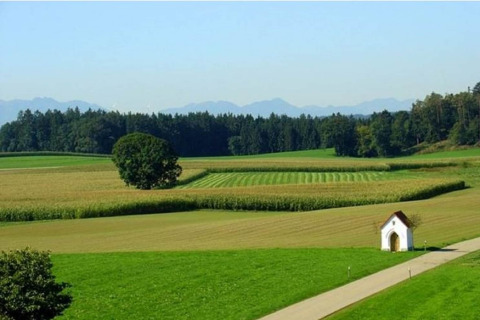 Landschapsfoto aan Almhütte, Duitsland, met open velden, een boom, een kleine kapel en bos op de achtergrond.
