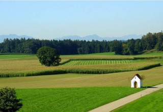 Landschapsfoto aan Almhütte, Duitsland, met open velden, een boom, een kleine kapel en bos op de achtergrond.
