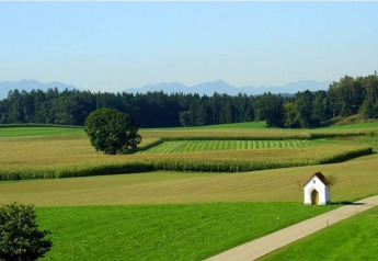 Landscape at Almhütte, Germany, showing open fields, a lone tree, a small chapel, and a forest backdrop.