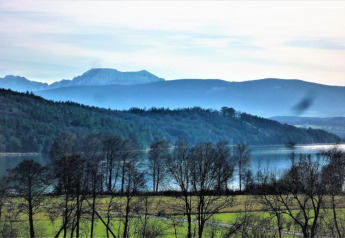 View from the Almhütte chalet in Germany with a lake, mountains, green fields, and bare trees.