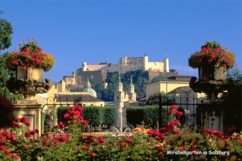 Wunderschöner Blick auf den Mirabellgarten in Salzburg mit Blumen, Springbrunnen und Festung im Hintergrund.