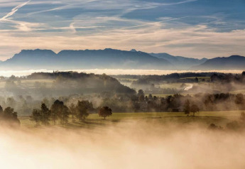 Paesaggio nebbioso visto dal chalet Almhütte in Germania, con montagne, campi e alberi all’alba.
