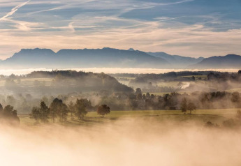 Misty landscape view from the Almhütte chalet in Germany, with mountains, fields, and trees at sunrise.