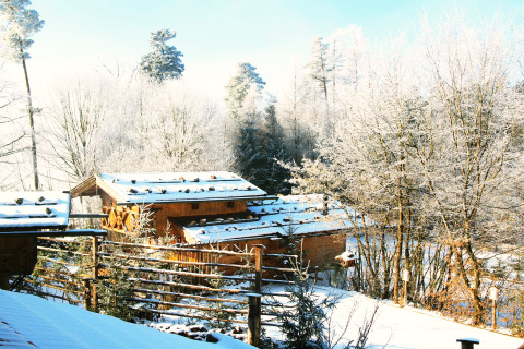 Die Berghütte «Almhütte» in Deutschland, schneebedeckt im Winter, umgeben von verschneiten Bäumen.