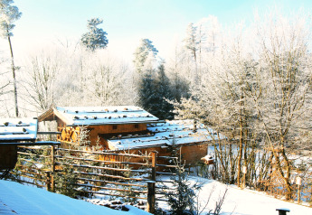 Chalet «Almhütte» in Germany during winter, covered with snow and surrounded by frosty, snow-laden trees.