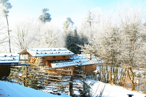 Chalet «Almhütte» in Duitsland, bedekt met sneeuw en omgeven door uitgestrekte besneeuwde bomen.