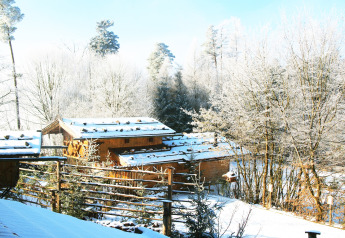 Chalet «Almhütte» in Germany during winter, covered with snow and surrounded by frosty, snow-laden trees.