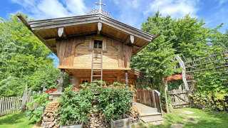 Charming wooden Almhütte chalet with flowers, firewood, and greenery beneath a bright blue sky.