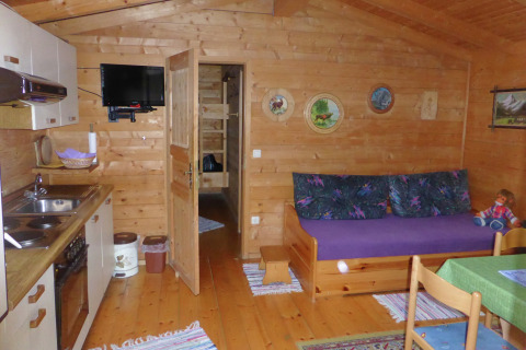 Interior view of Steingaden chalet in Germany showing wood walls, compact kitchen, and sofa area.