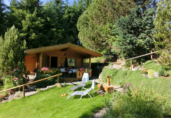 Chalet di legno a Steingaden, Germania, circondato da pini e fiori, con sedie sdraio sul prato.