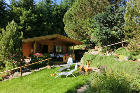 Wooden chalet in Steingaden, Germany, surrounded by pine trees, garden plants, and lawn chairs outside.