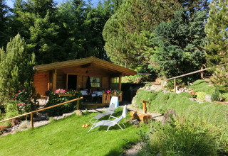 Wooden chalet in Steingaden, Germany, surrounded by pine trees, garden plants, and lawn chairs outside.
