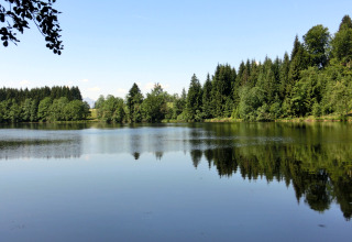 Peaceful lake and forest view at Steingaden chalet in Germany, trees reflecting clearly in the water.