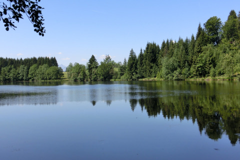 Peaceful lake and forest view at Steingaden chalet in Germany, trees reflecting clearly in the water.
